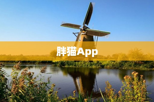 胖猫App：打造健康猫咪生活的必备工具
