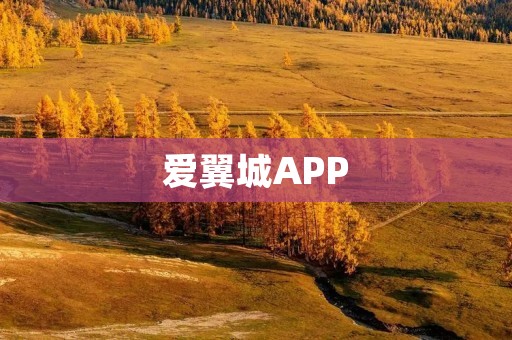 爱翼城APP：让城市生活更便捷