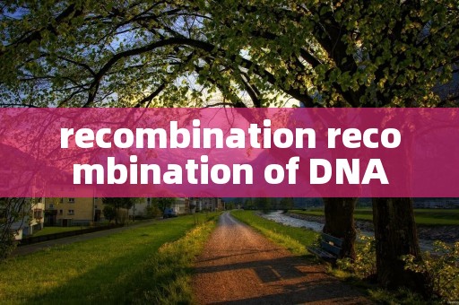 recombination recombination of DNA
