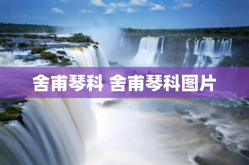 舍甫琴科 舍甫琴科图片 舍甫琴科 舍甫琴科图片
