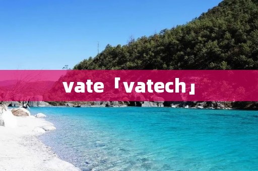 vate「vatech」