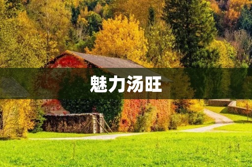 魅力汤旺：醉心美食，尽享火锅盛宴