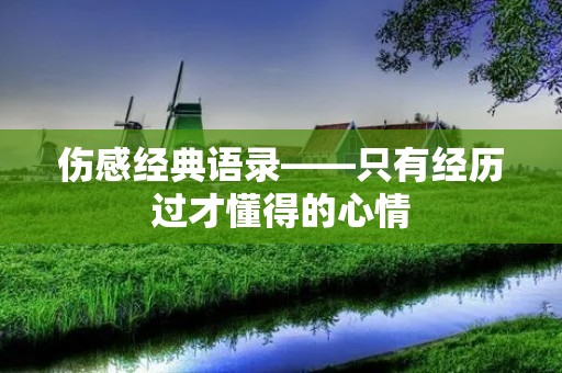 伤感经典语录——只有经历过才懂得的心情