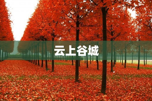 云上谷城：探寻历史古城的瑰丽之美