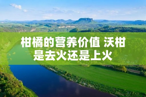 柑橘的营养价值 沃柑是去火还是上火