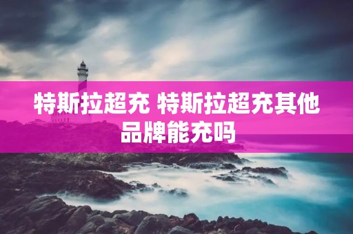 特斯拉超充 特斯拉超充其他品牌能充吗 特斯拉超充 特斯拉超充其他品牌能充吗