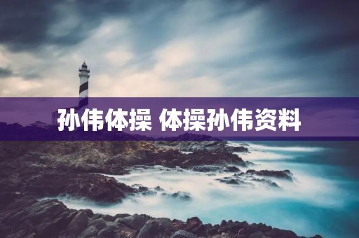 孙伟体操 体操孙伟资料