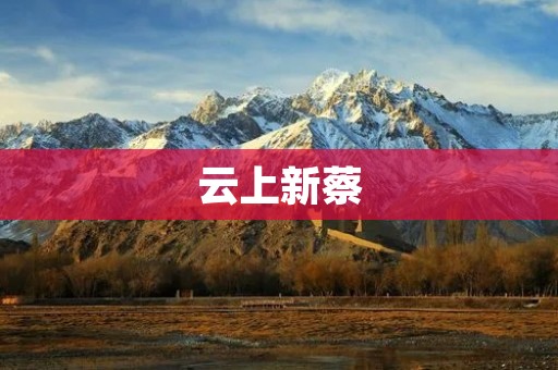 云上新蔡:古朴小城中的自然奇观与人文魅力 云上新蔡:古朴小城中的自然奇观与人文魅力