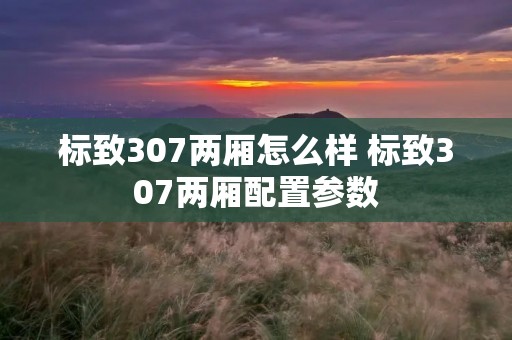 标致307两厢怎么样 标致307两厢配置参数