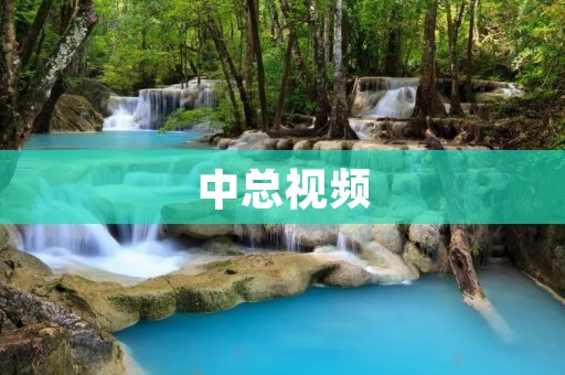 中总视频:深入探索中国总统的视频平台 中总视频:深入探索中国总统的视频平台