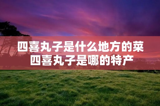 四喜丸子是什么地方的菜 四喜丸子是哪的特产