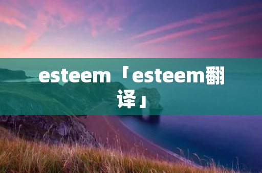esteem「esteem翻译」
