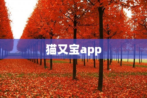 猫又宝app：打造宠物爱好者的综合平台