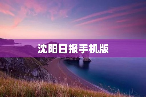 沈阳日报手机版:随时随地掌握沈阳资讯 沈阳日报手机版:随时随地掌握沈阳资讯