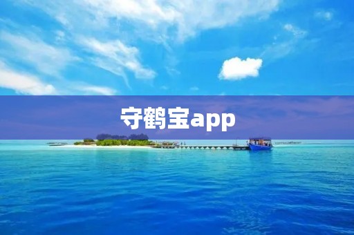 守鹤宝app:守护您财富的智能理财助手 守鹤宝app:守护您财富的智能理财助手
