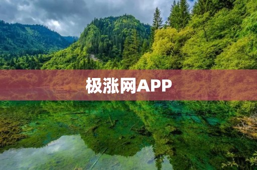 极涨网APP:打造投资者理财新利器 极涨网APP:打造投资者理财新利器