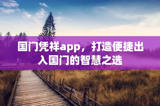国门凭祥app,打造便捷出入国门的智慧之选 国门凭祥app,打造便捷出入国门的智慧之选