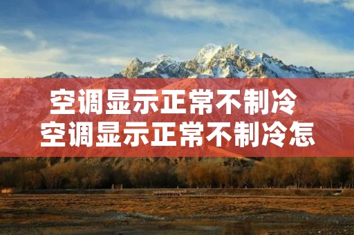 空调显示正常不制冷 空调显示正常不制冷怎么回事