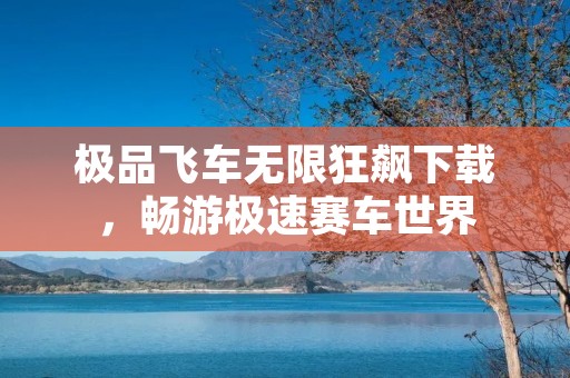 极品飞车无限狂飙下载，畅游极速赛车世界
