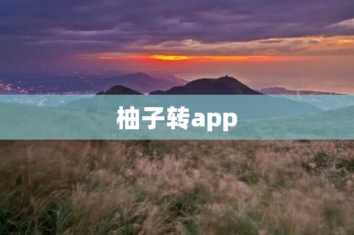 柚子转app：解锁无限可能的移动应用开发平台