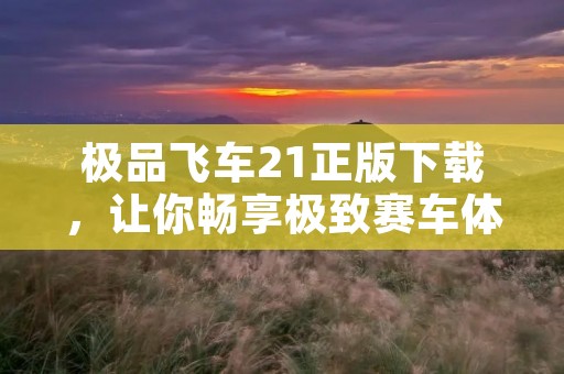 极品飞车21正版下载,让你畅享极致赛车体验!