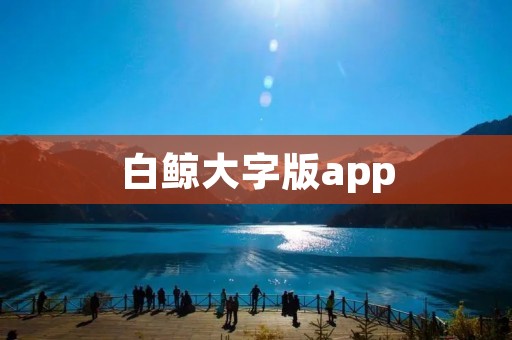 白鲸大字版app：让阅读更轻松