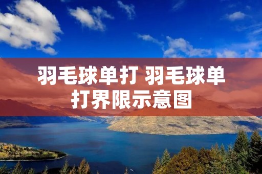 羽毛球单打 羽毛球单打界限示意图