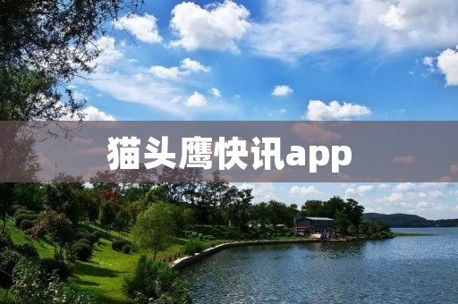 猫头鹰快讯app:全新的实时新闻资讯平台 猫头鹰快讯app:全新的实时新闻资讯平台
