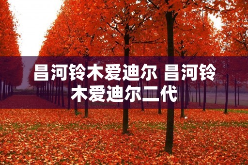 昌河铃木爱迪尔 昌河铃木爱迪尔二代 昌河铃木爱迪尔 昌河铃木爱迪尔二代