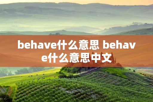 behave什么意思 behave什么意思中文