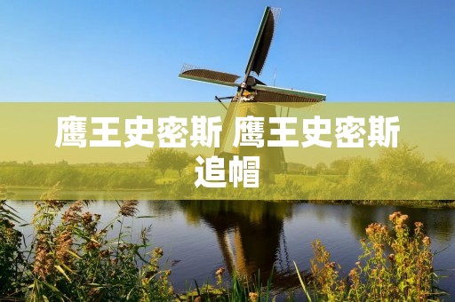 鹰王史密斯 鹰王史密斯追帽