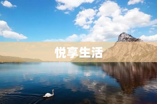 悦享生活：追寻概楽事的美好