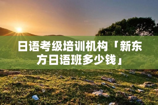 日语考级培训机构「新东方日语班多少钱」