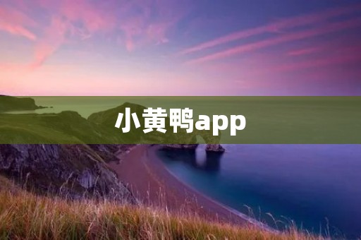 小黄鸭app：让你的学习变得更高效有趣