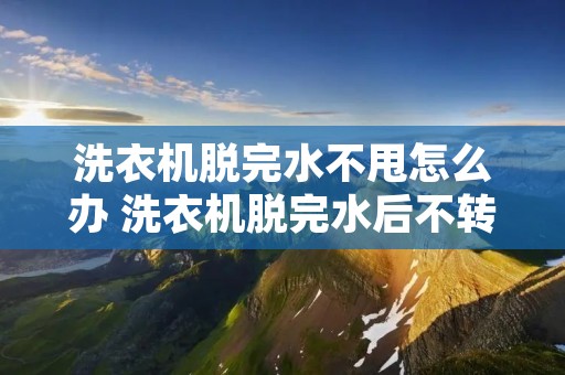 洗衣机脱完水不甩怎么办 洗衣机脱完水后不转动是什么情况