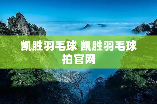 凯胜羽毛球 凯胜羽毛球拍官网
