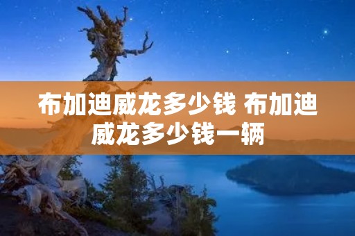 布加迪威龙多少钱 布加迪威龙多少钱一辆