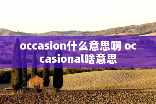 occasion什么意思啊 occasional啥意思