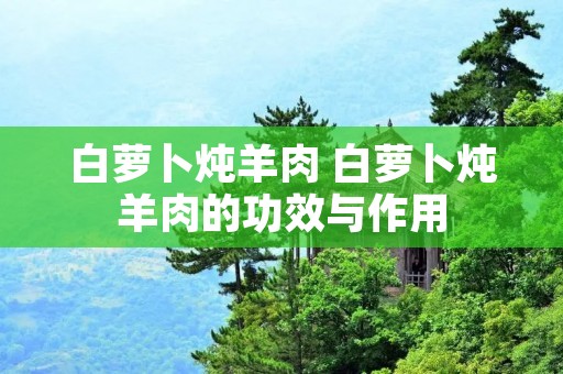 白萝卜炖羊肉 白萝卜炖羊肉的功效与作用