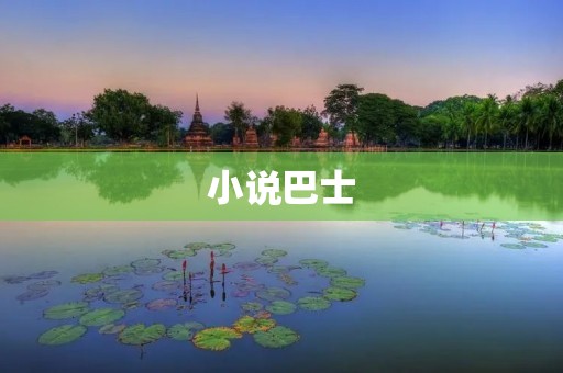 小说巴士：让你在旅途中尽情享受阅读的乐趣