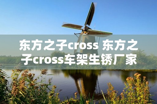 东方之子cross 东方之子cross车架生锈厂家召回是那一年