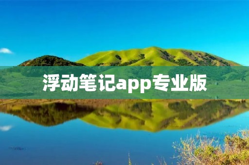 浮动笔记app专业版：高效管理你的知识和灵感