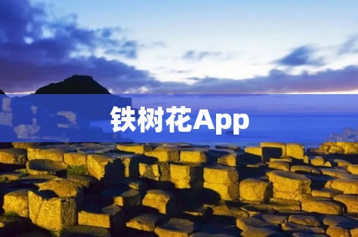 铁树花App:开启美好生活的新篇章 铁树花App:开启美好生活的新篇章