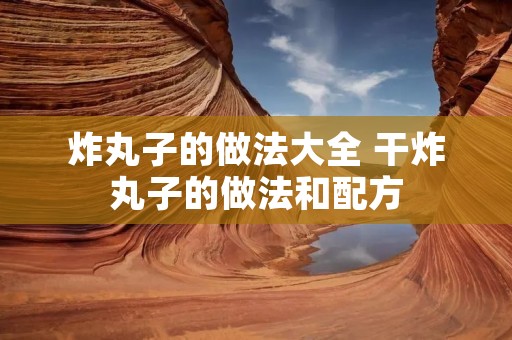 炸丸子的做法大全 干炸丸子的做法和配方