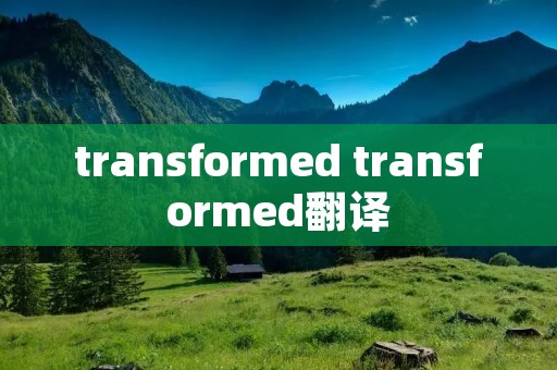 transformed transformed翻译