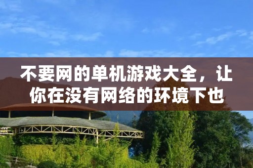 不要网的单机游戏大全,让你在没有网络的环境下也能玩得开心!