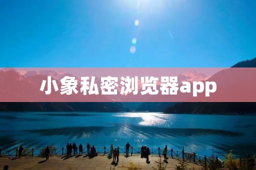 小象私密浏览器app：保护你的隐私安全