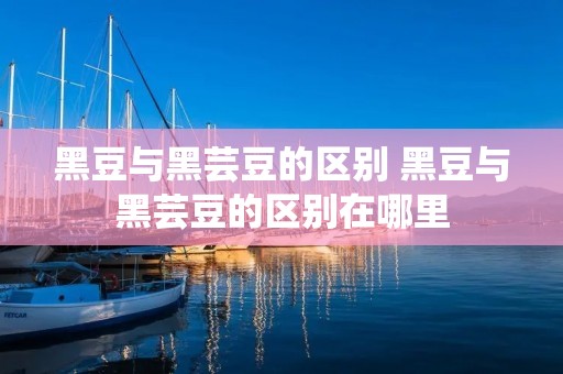 黑豆与黑芸豆的区别 黑豆与黑芸豆的区别在哪里