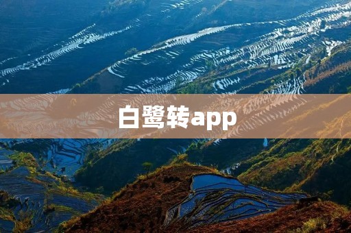 白鹭转app：轻松实现移动应用开发的利器