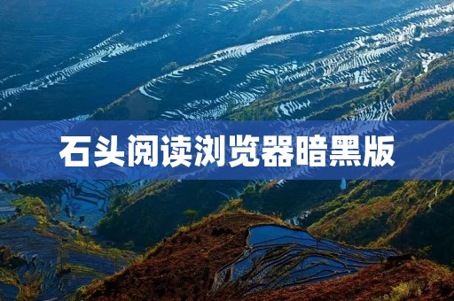 石头阅读浏览器暗黑版:探索黑暗中的阅读乐趣 石头阅读浏览器暗黑版:探索黑暗中的阅读乐趣